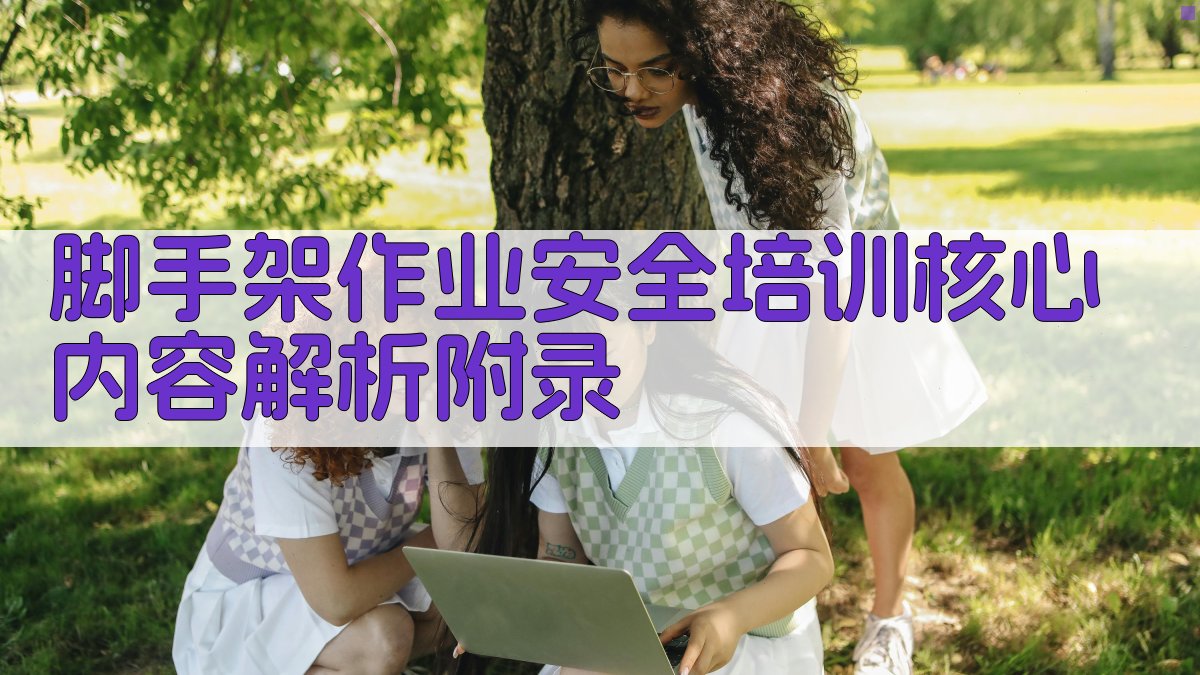 脚手架作业安全培训核心内容解析 · 附录 图3