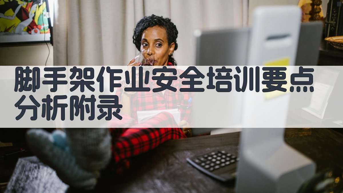 脚手架作业安全培训要点分析 · 附录 图3
