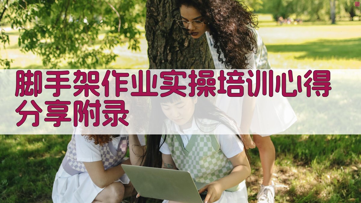 脚手架作业实操培训心得分享 · 附录 图2