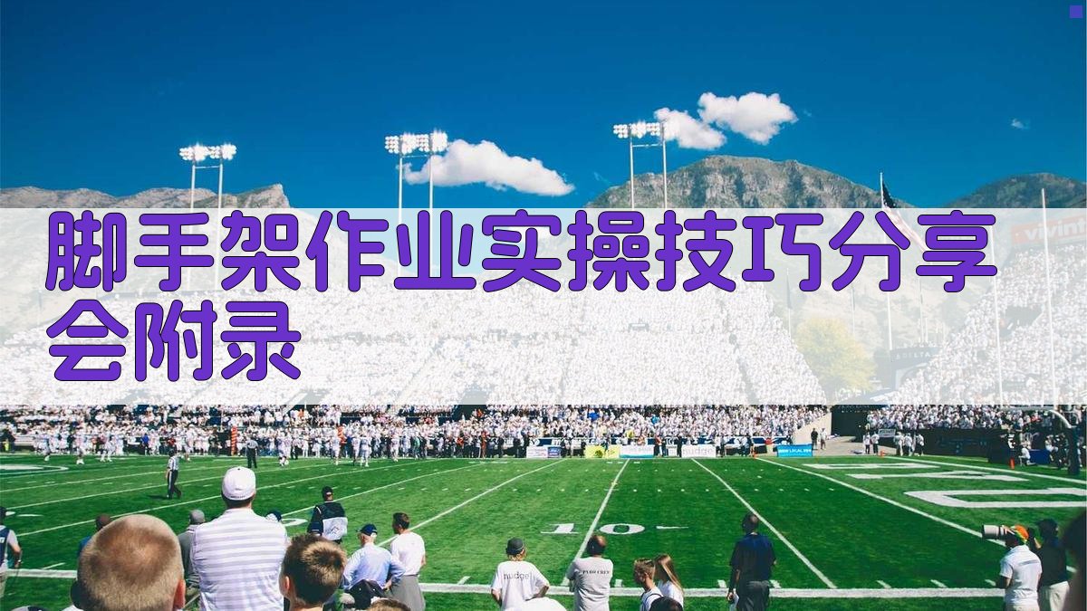 脚手架作业实操技巧分享会 · 附录 图4