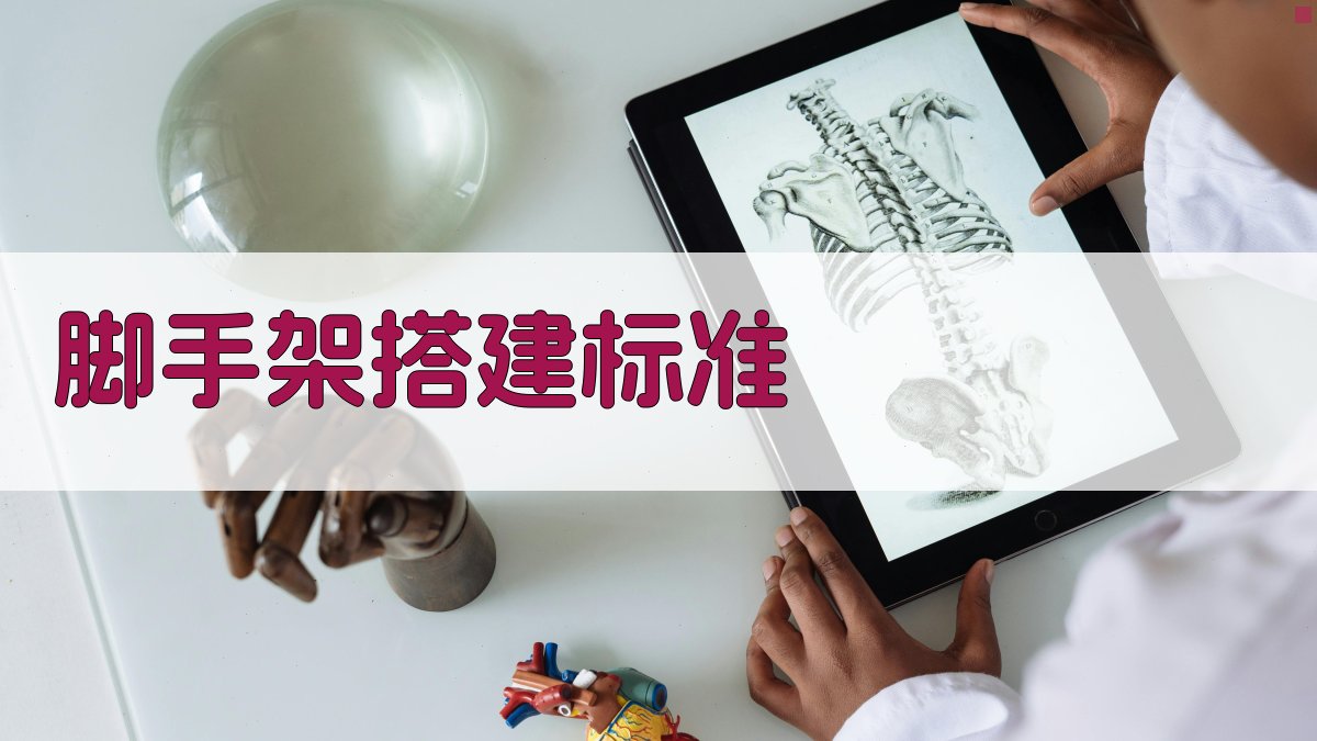 脚手架搭建标准 图2