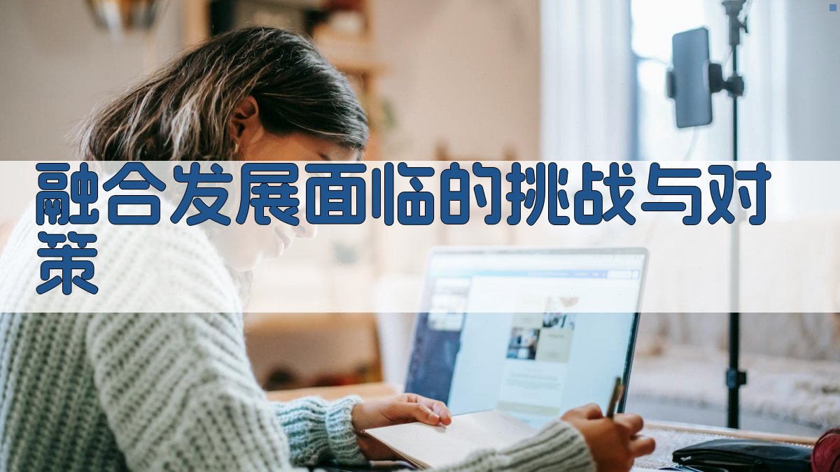 融合发展面临的挑战与对策 图2