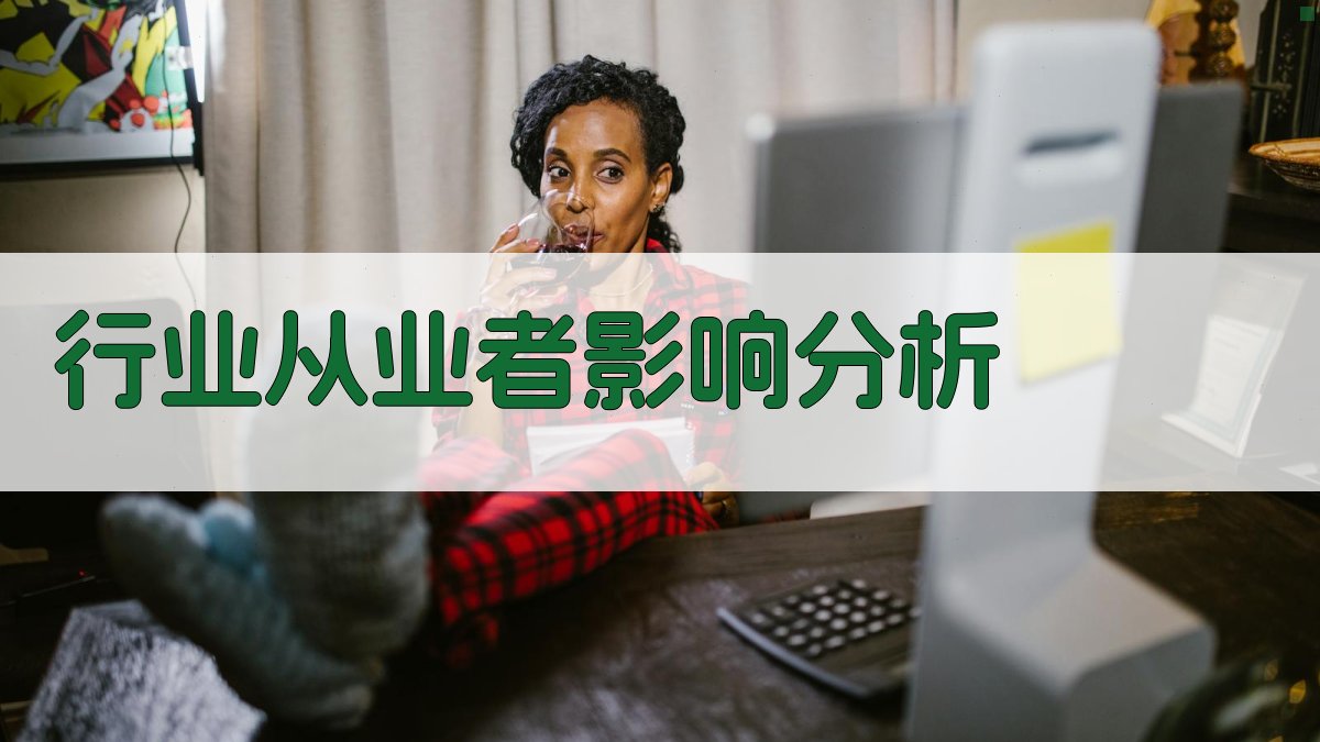 行业从业者影响分析 图2