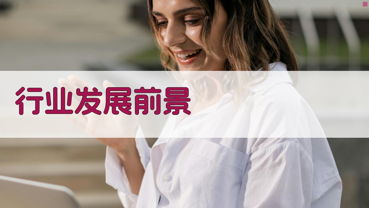行业发展前景 图3