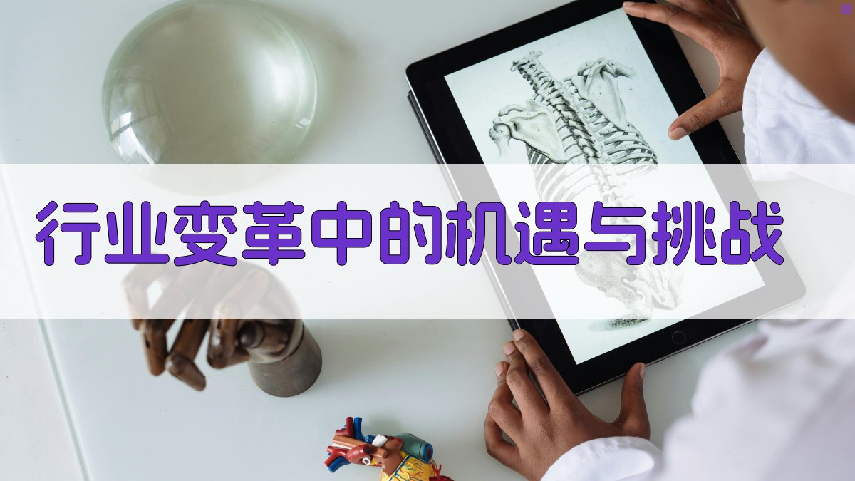 行业变革中的机遇与挑战 图3