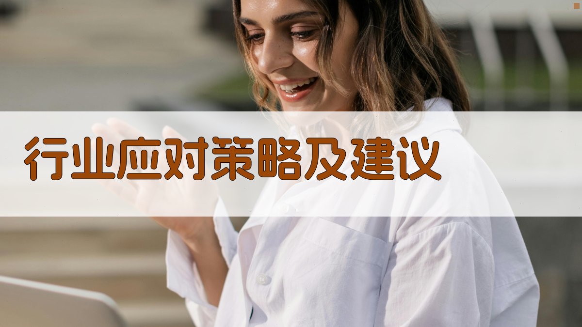 行业应对策略及建议 图1