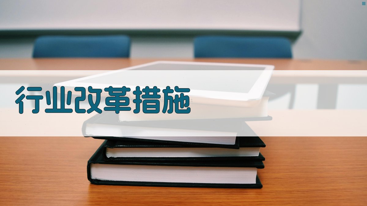 行业改革措施 图3