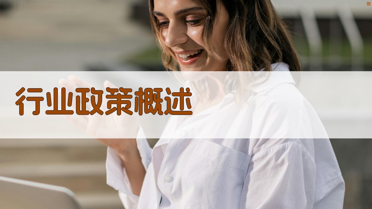 培训行业政策影响解析