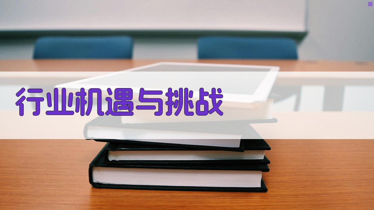 行业机遇与挑战 图2