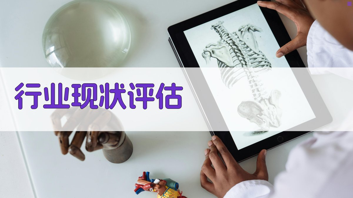 行业现状评估 图2