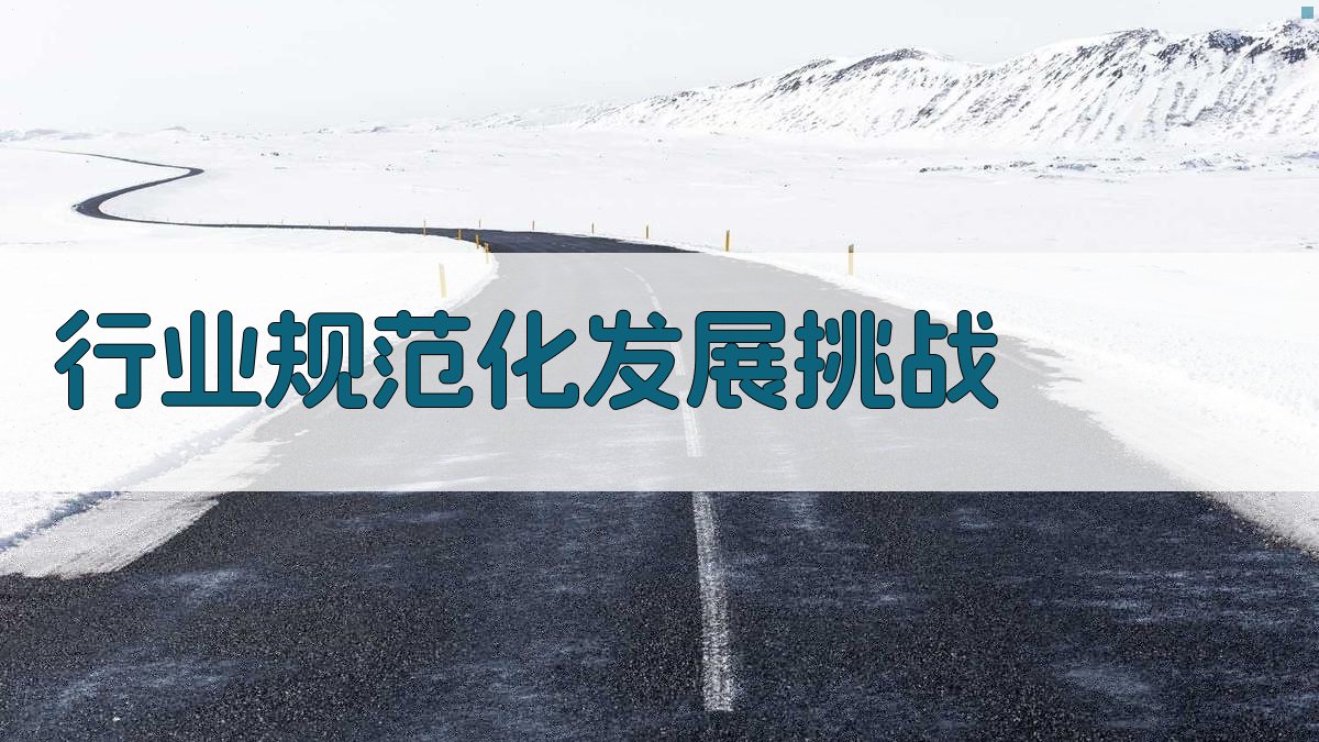 行业规范化发展挑战 图2