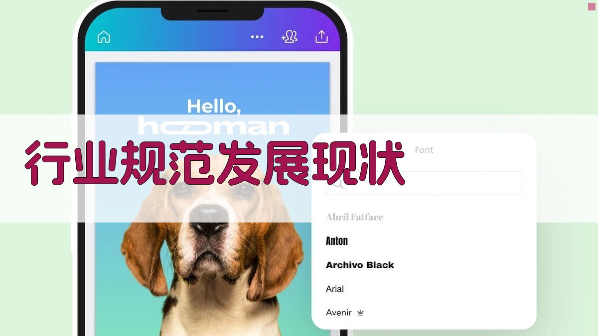 行业规范发展现状 图2