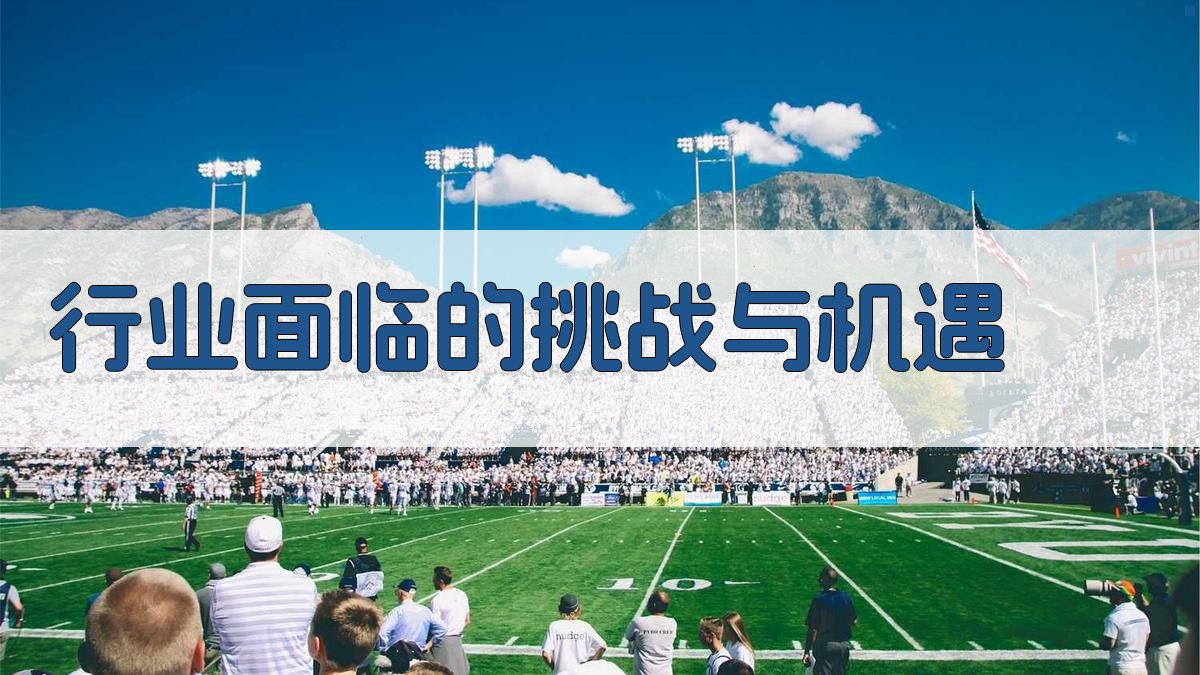 行业面临的挑战与机遇 图2