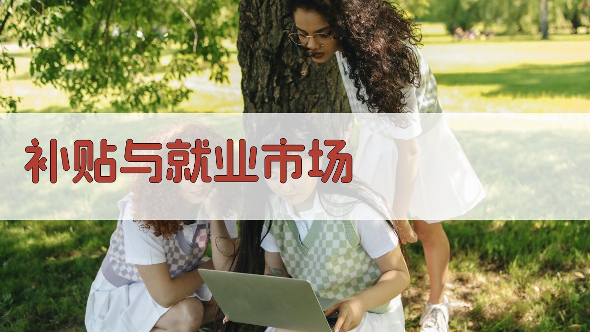 补贴与就业市场 图3