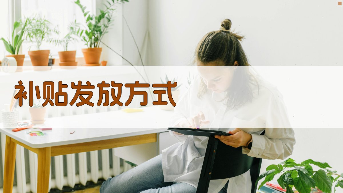 补贴发放方式 图3