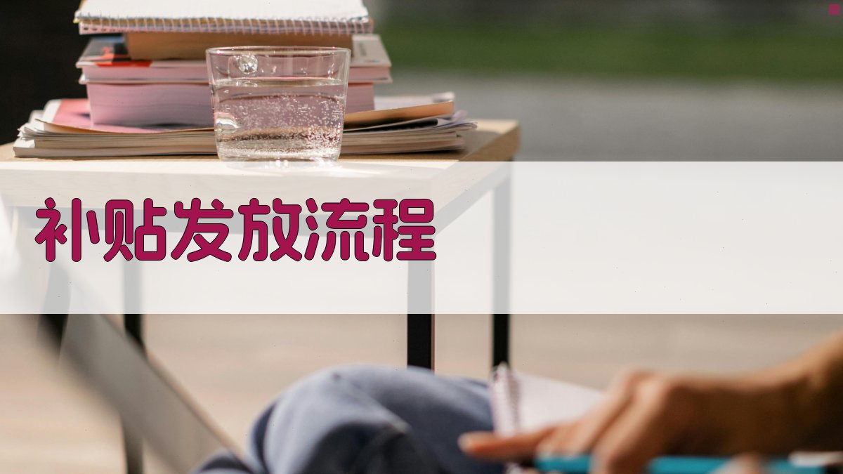 补贴发放流程 图2