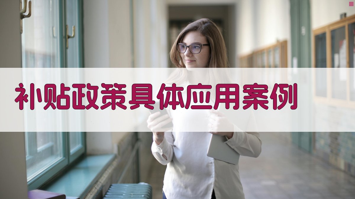 补贴政策具体应用案例 图2
