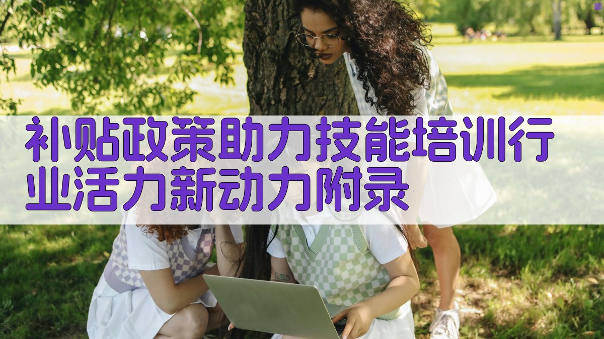 补贴政策助力技能培训行业活力新动力 · 附录 图3