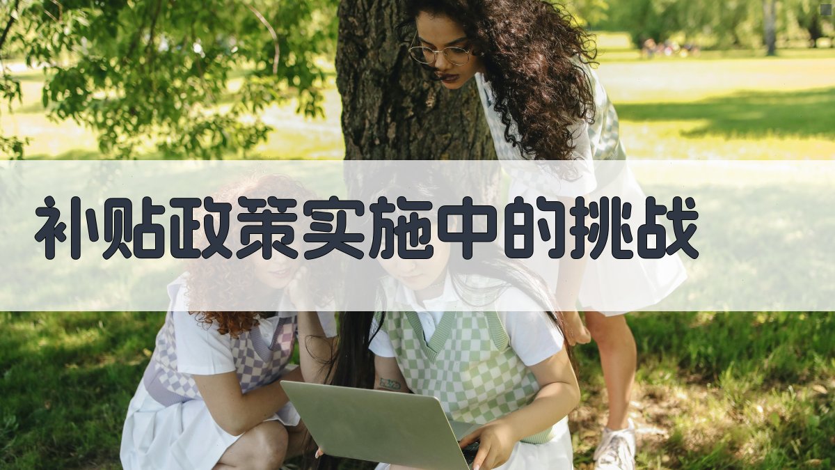 补贴政策实施中的挑战 图2