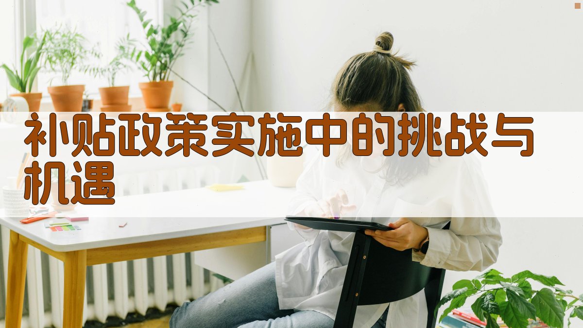 补贴政策实施中的挑战与机遇 图3