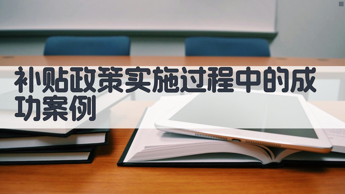 补贴政策实施过程中的成功案例 图3