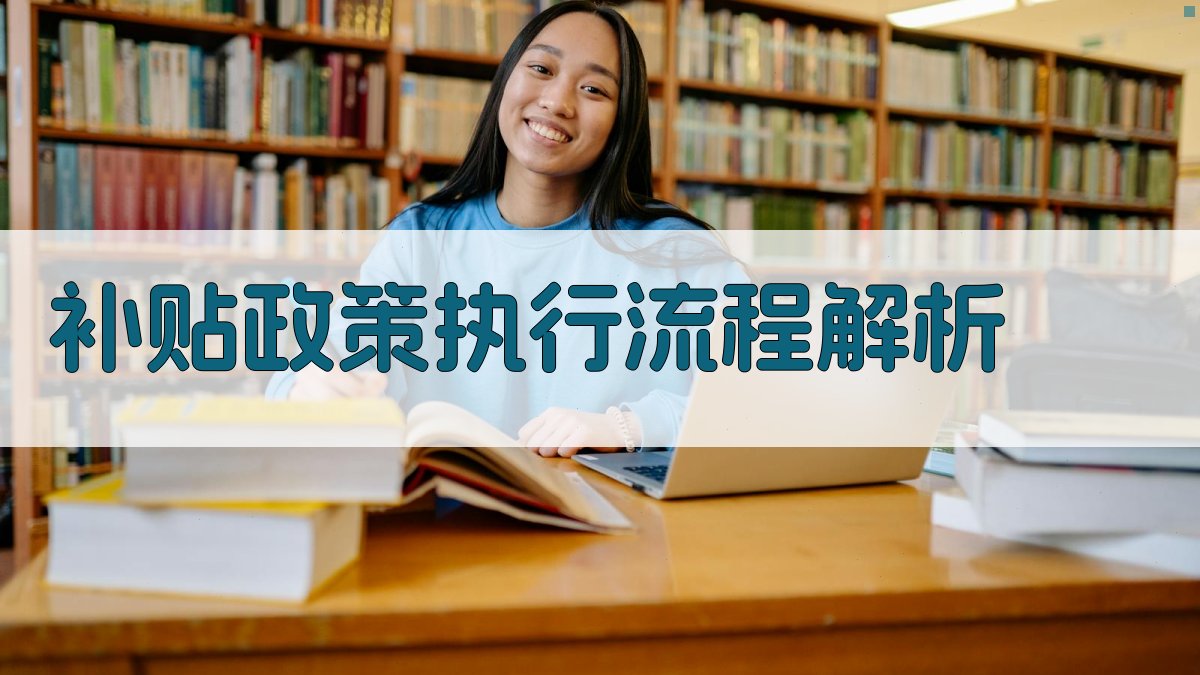 补贴政策执行流程解析 图2