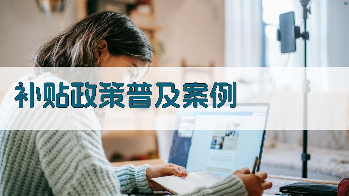 补贴政策普及案例 图2