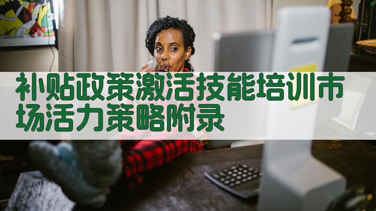 补贴政策激活技能培训市场活力策略 · 附录 图5