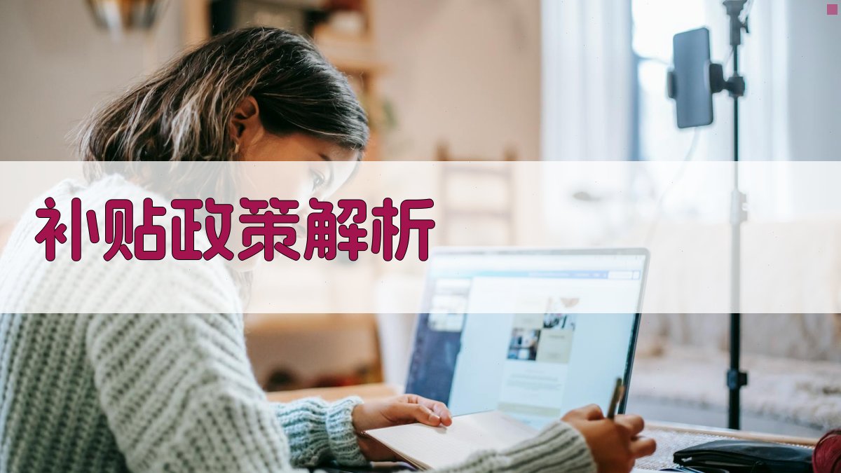 补贴政策解析 图2