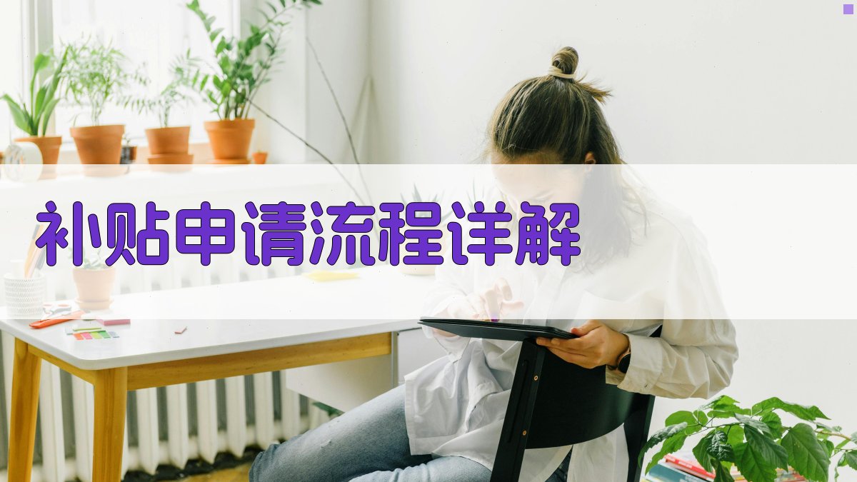 补贴申请流程详解 图2