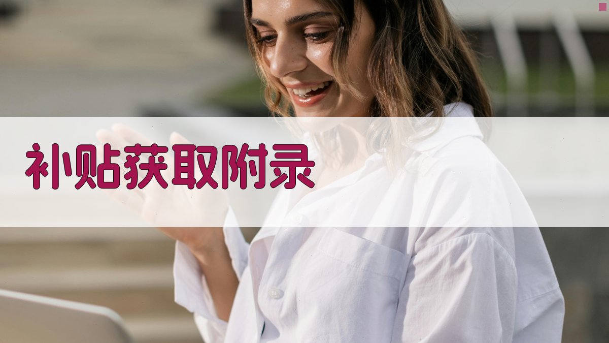 补贴获取 · 附录 图3