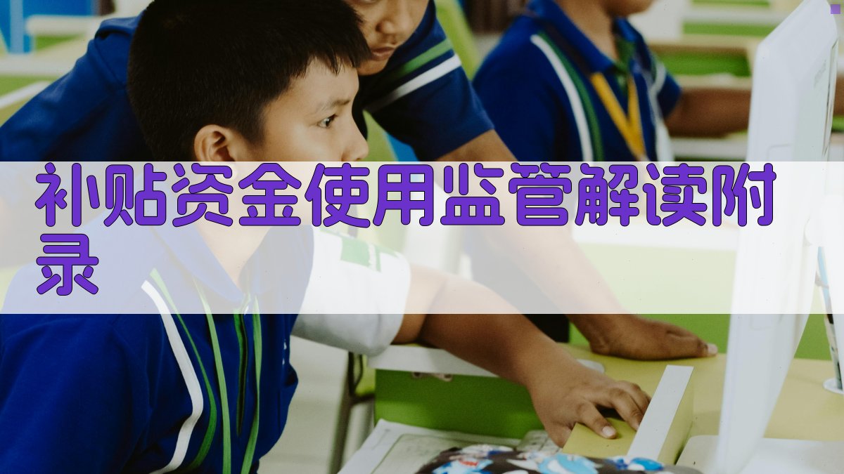 补贴资金使用监管解读 · 附录 图5