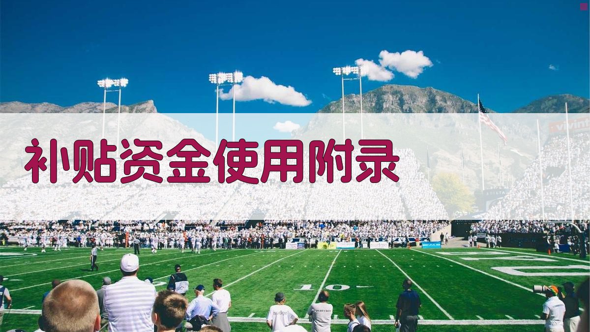 补贴资金使用 · 附录 图4