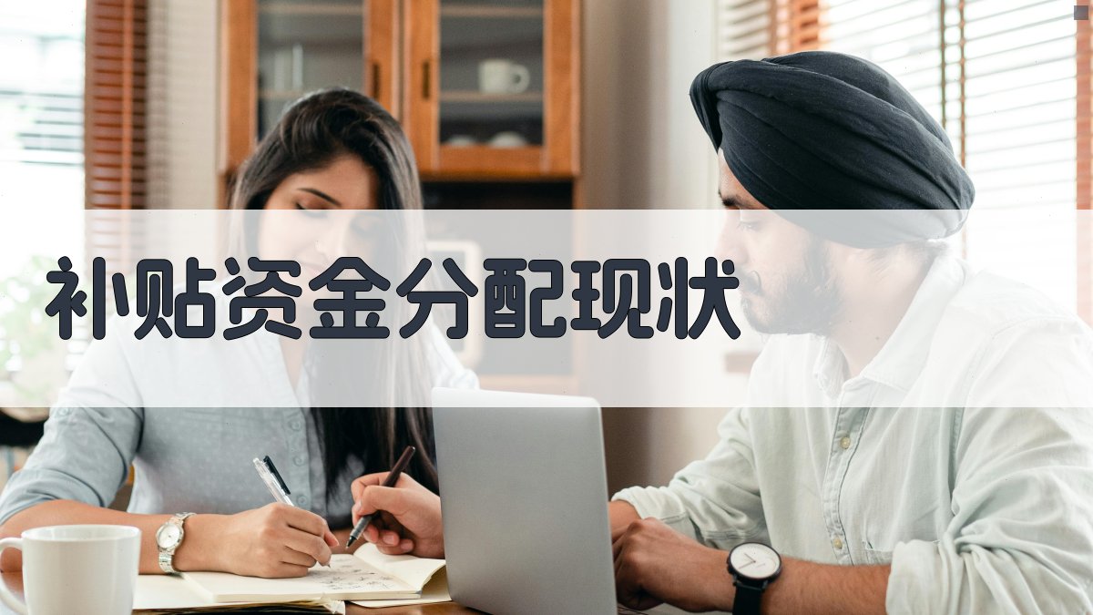 技能培训补贴资金合理分配策略