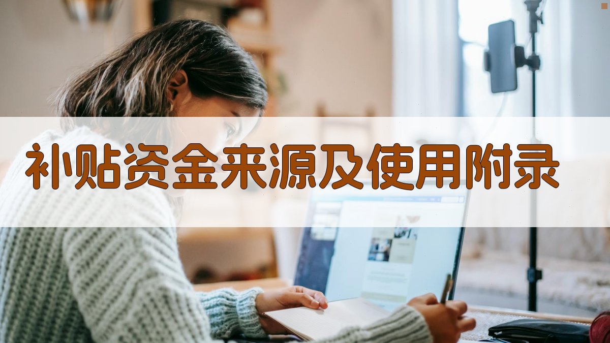 补贴资金来源及使用 · 附录 图2