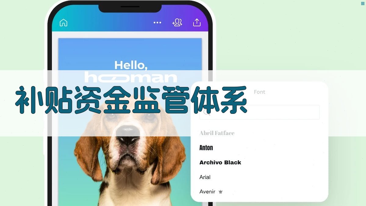 补贴资金监管体系 图2