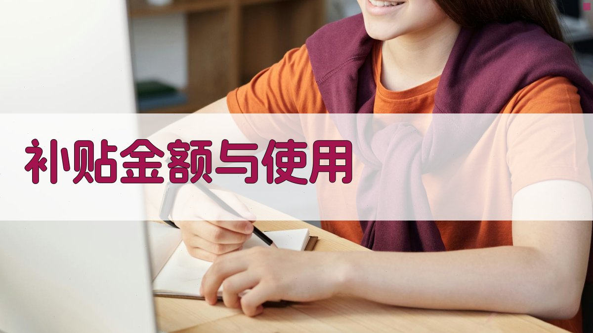 补贴金额与使用 图4