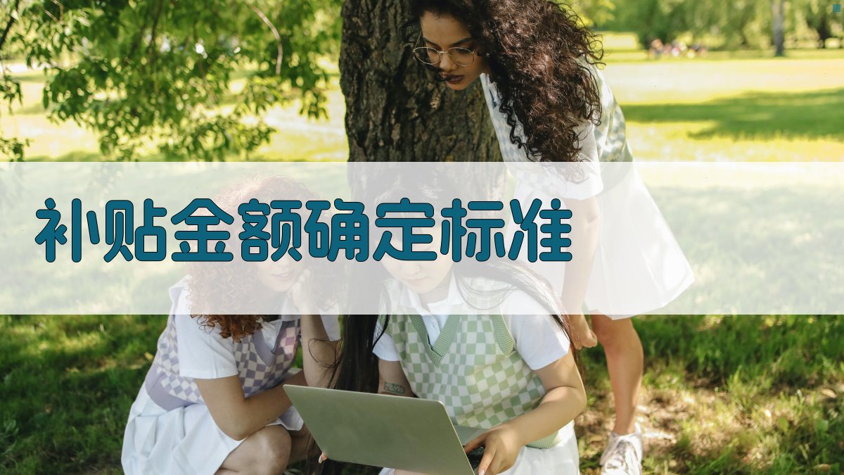 补贴金额确定标准 图2