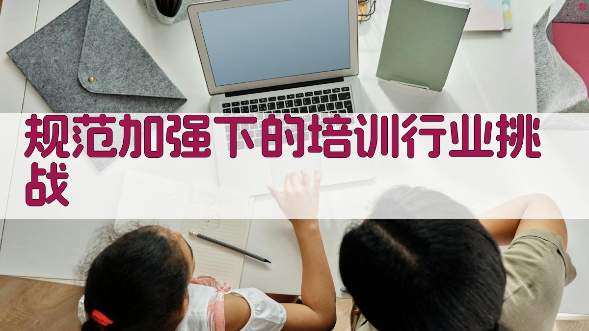 规范加强下的培训行业挑战 图2