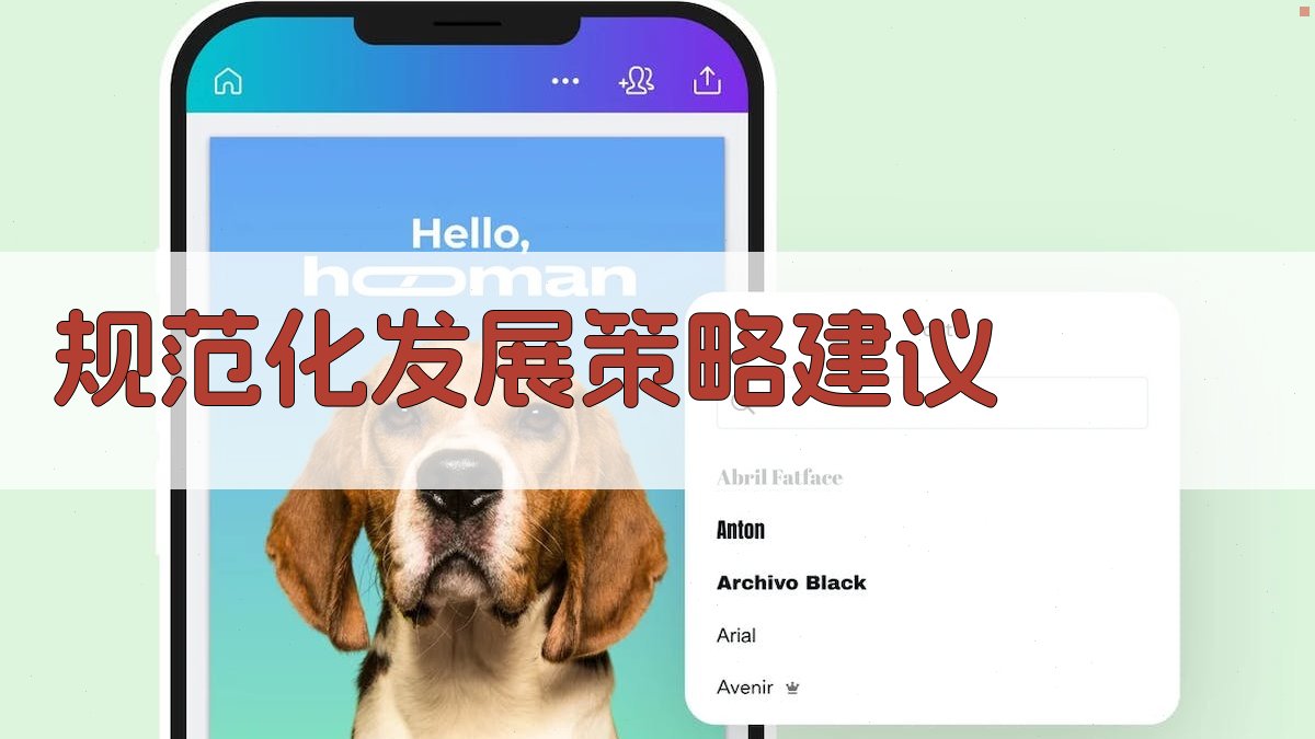 规范化发展策略建议 图3