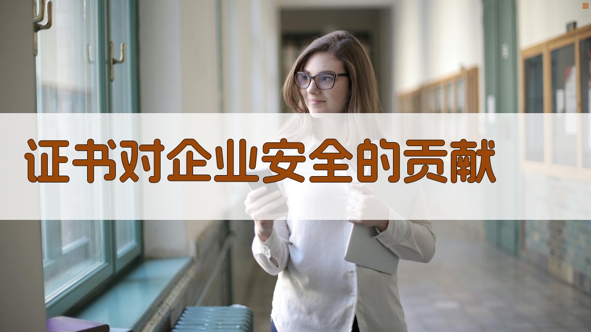 证书对企业安全的贡献 图3