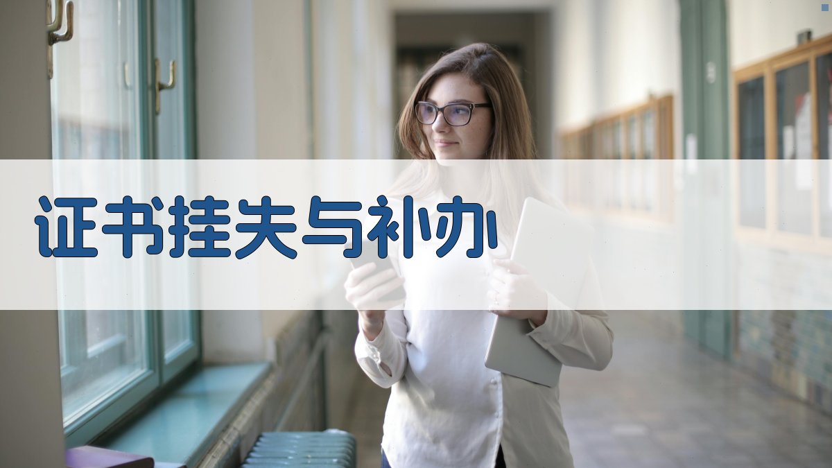 证书挂失与补办 图3