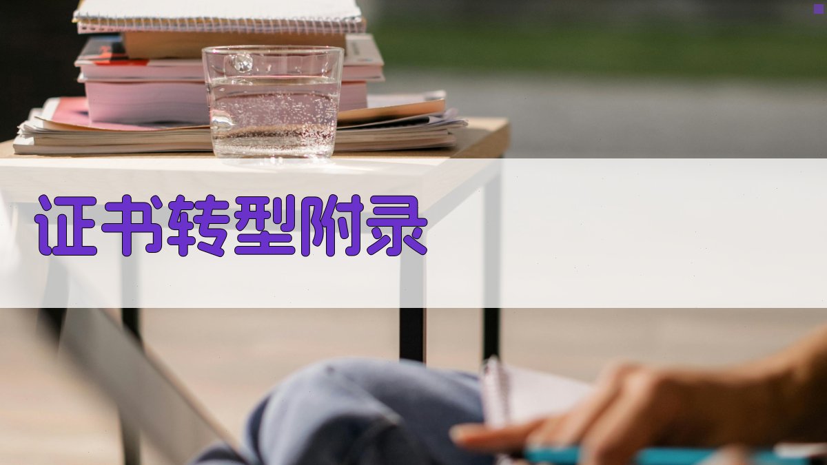 证书转型 · 附录 图4