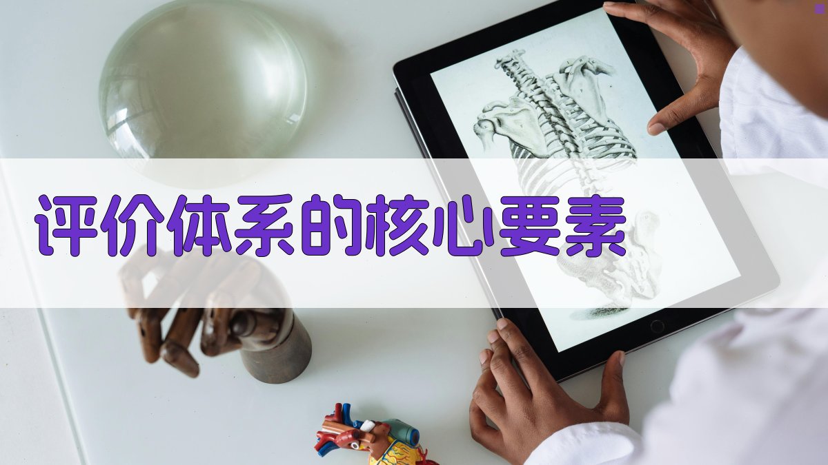 评价体系的核心要素 图2