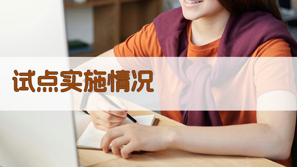 试点实施情况 图3