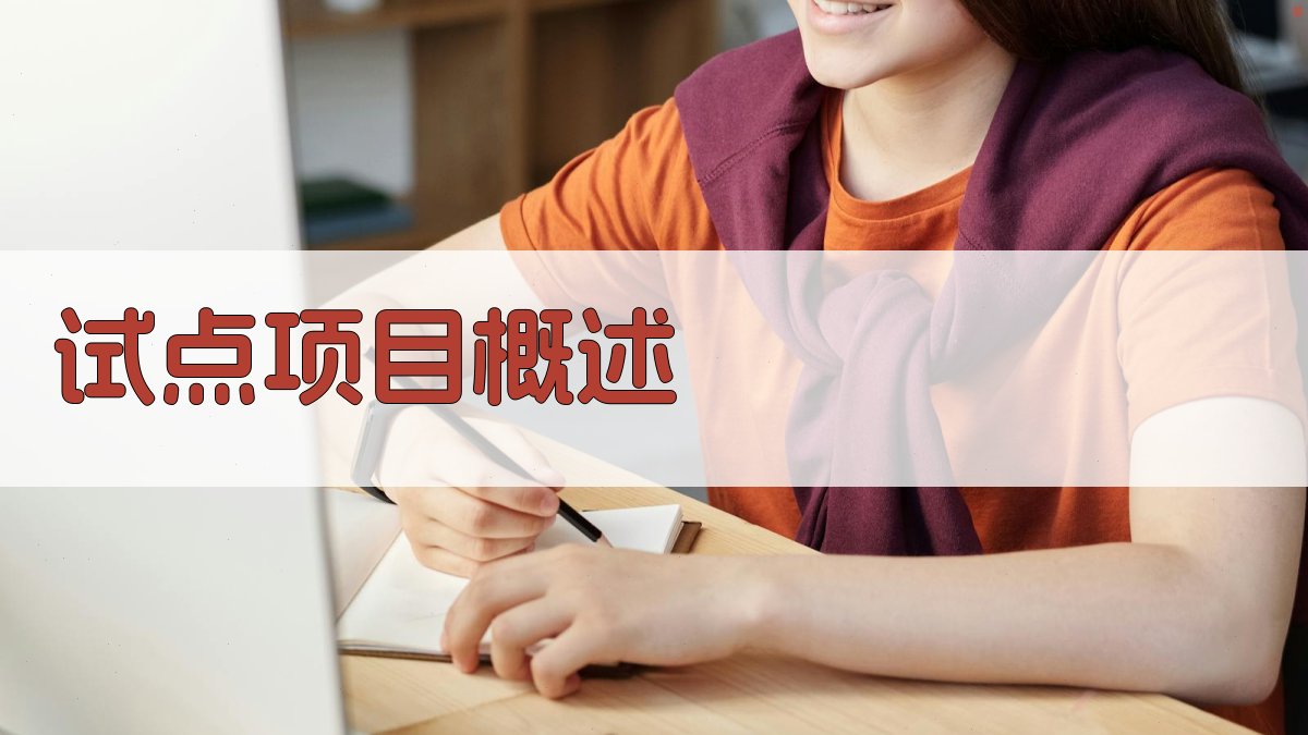 试点项目概述 图1