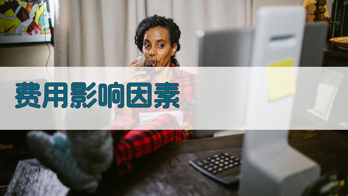 费用影响因素 图1