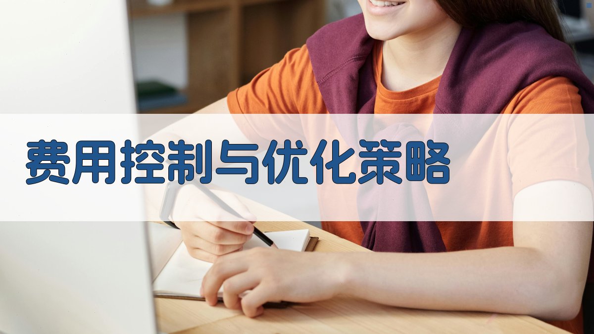 费用控制与优化策略 图2