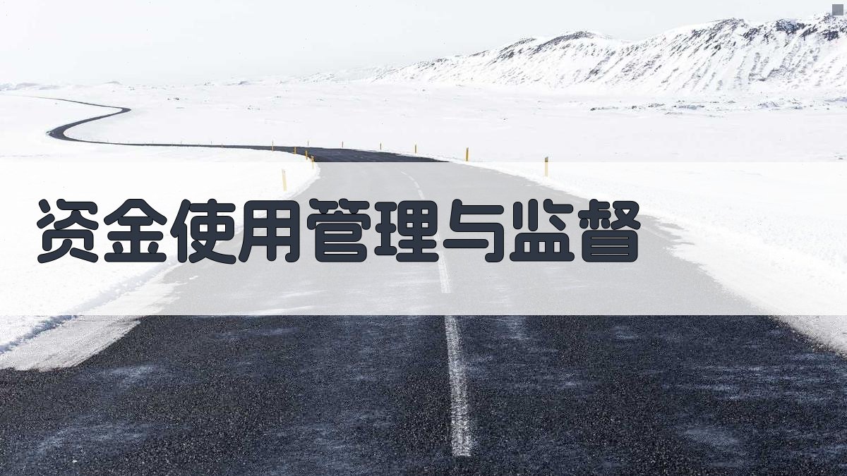 资金使用管理与监督 图5