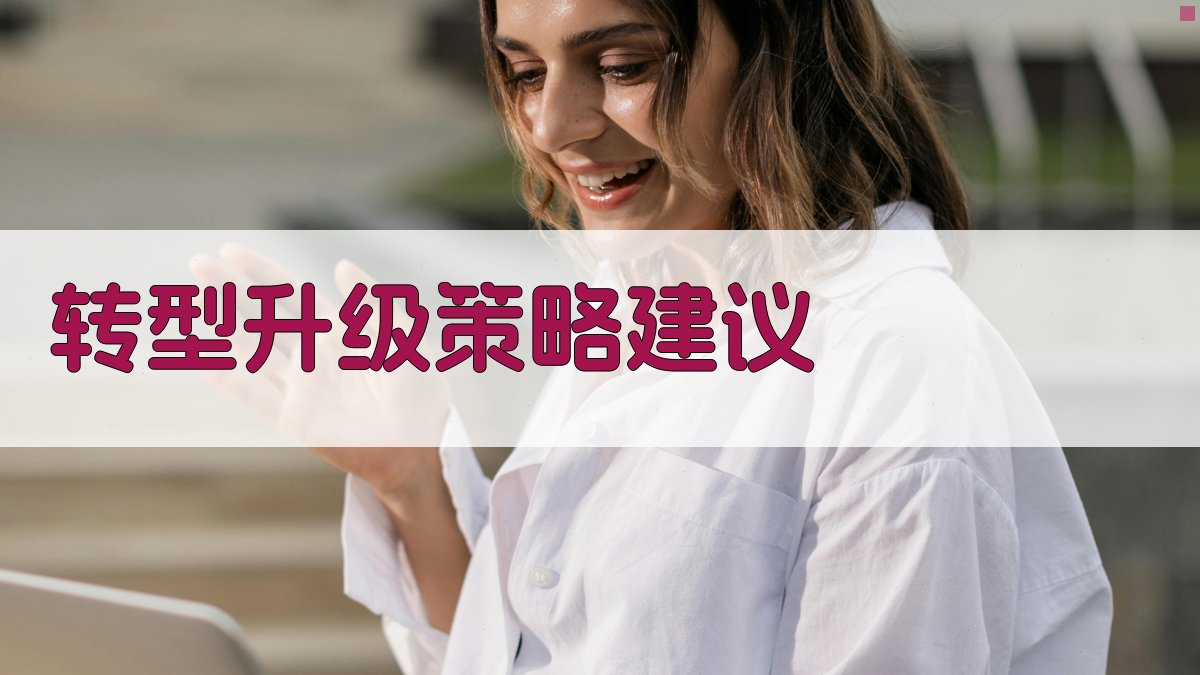 转型升级策略建议 图3